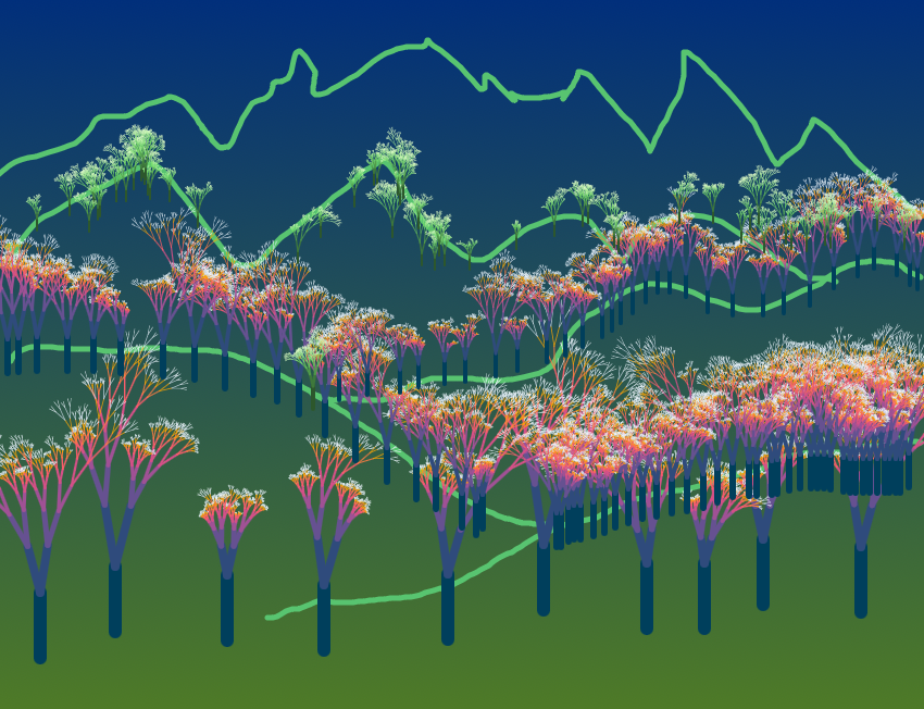fractal-forest_2025_09_16_06_23_55