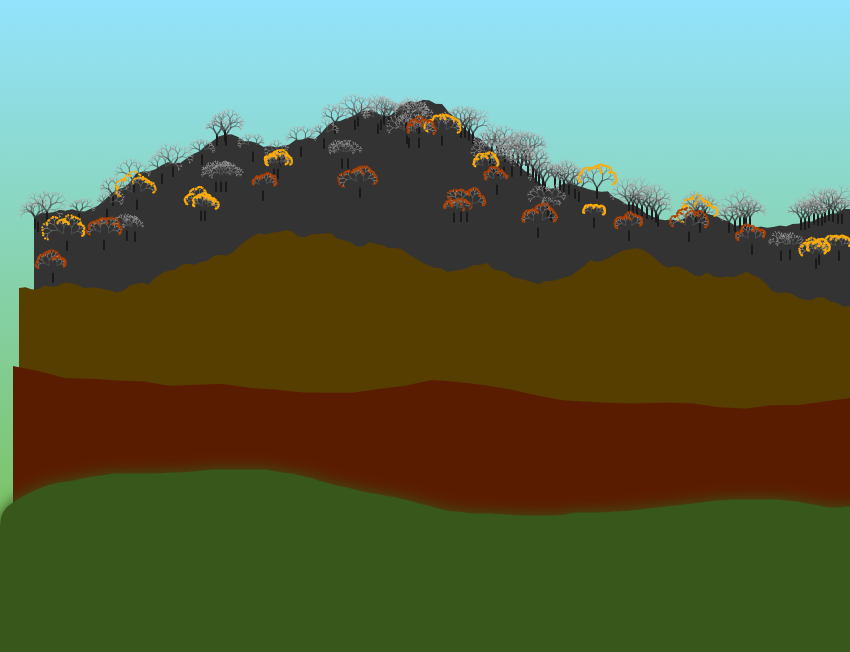 fractal-forest_2025_09_18_10_15_41